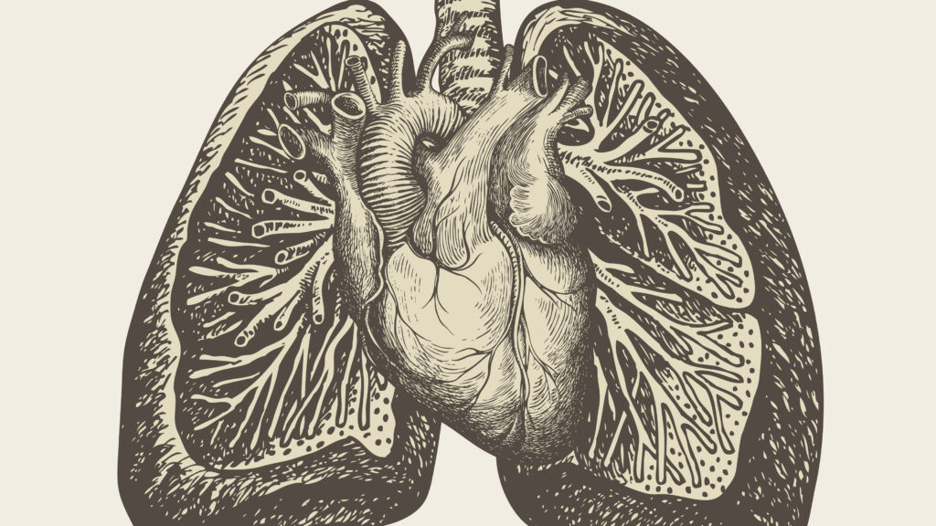 Source-feed image associated with STAT+: Biotech’s next big bet: A Tenax study of a heart failure treatment