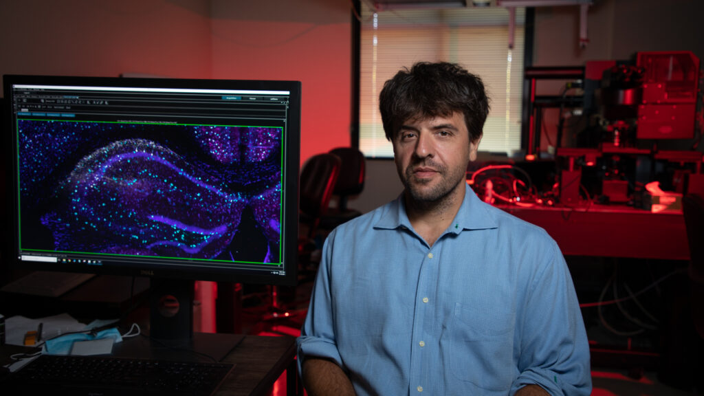 Image from linked report: STAT+: Nobel-winning optogenetics research has led to experimental treatments for blindness and Alzheimer’s