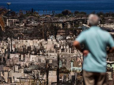 Image from linked report: Residents near Maui wildfires show elevated metals linked to impacted lung health, study says