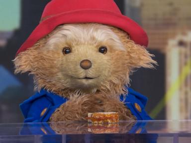Source-feed image associated with WATCH: 'Paddington The Musical' coming to Broadway