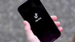 Source-feed image associated with TikTok to pay $400m to US in one of largest child privacy settlements