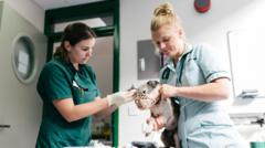 Image from linked report: Vet prescription fees capped under rule changes