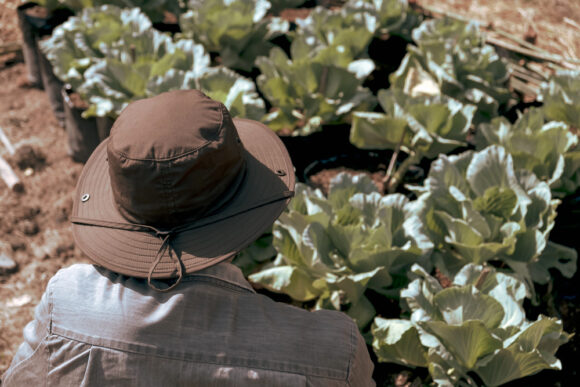 Source-feed image associated with Lawsuit Not Allowed for Heat-Stricken Worker Despite Previous Death, NC Court Says