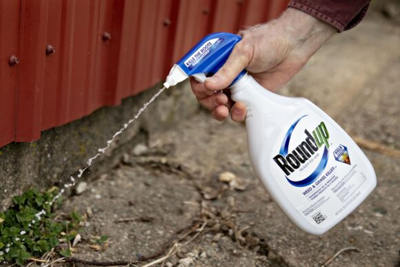 Source-feed image associated with Bayer’s Supreme Court Win in Roundup Case No ‘Silver Bullet’