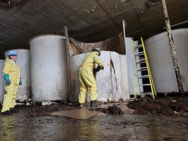 Source-feed image associated with Rotten fish sauce that has stunk up a small Canadian town is finally being removed