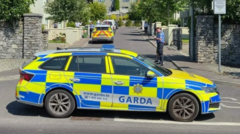 Source-feed image associated with Irish police to engage with Jordanian force in murder investigation