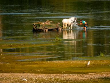 Source-feed image associated with Central Europe swelters and Slovakia and Austria hit their record high temperatures