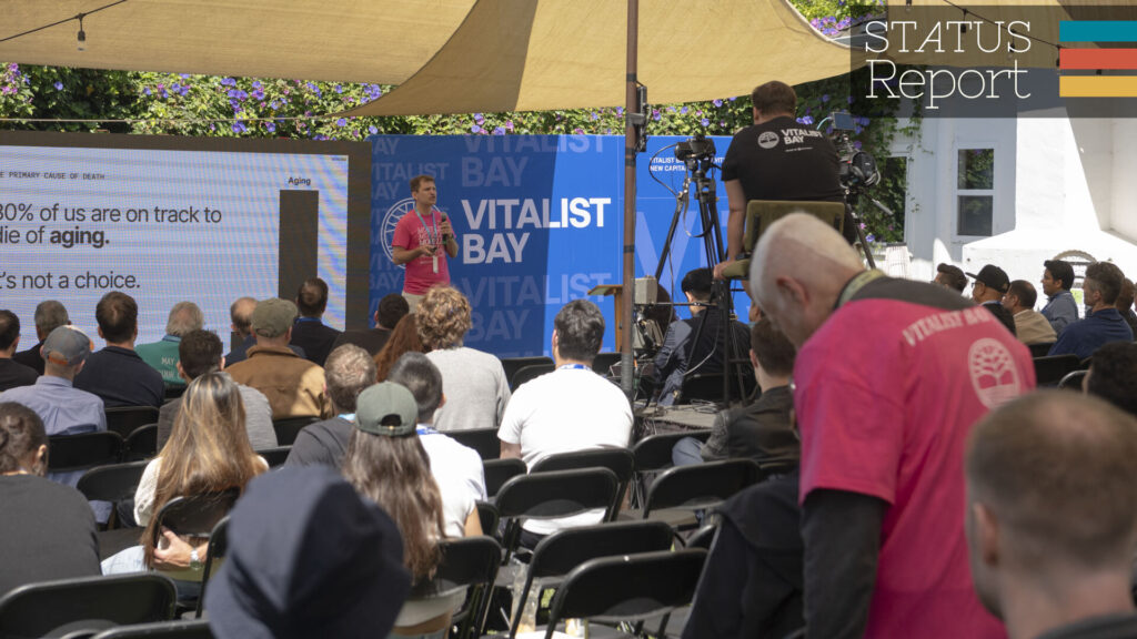 Source-feed image associated with What happens at a longevity festival?
