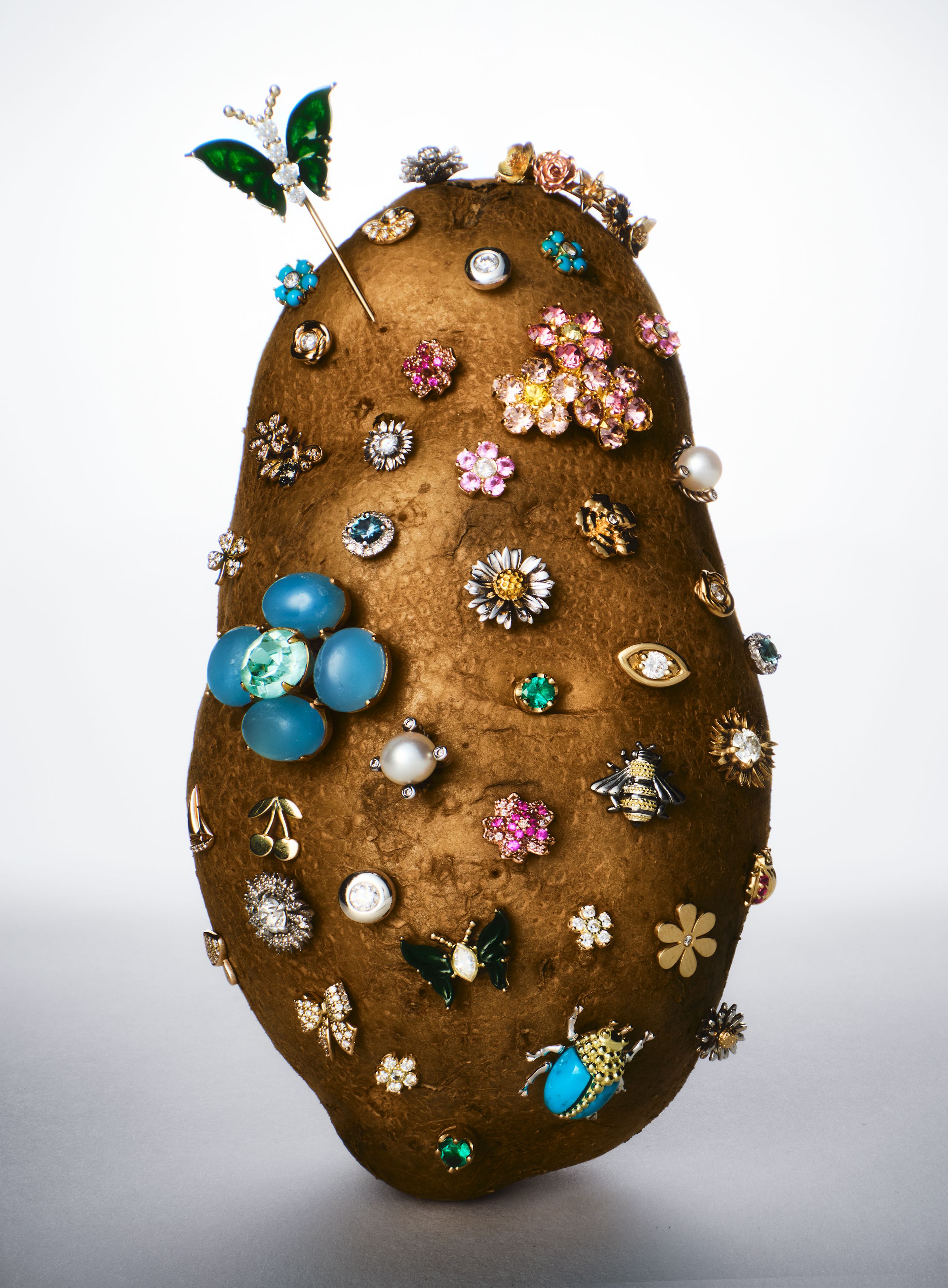Source-feed image associated with The Search for the Perfect Potato