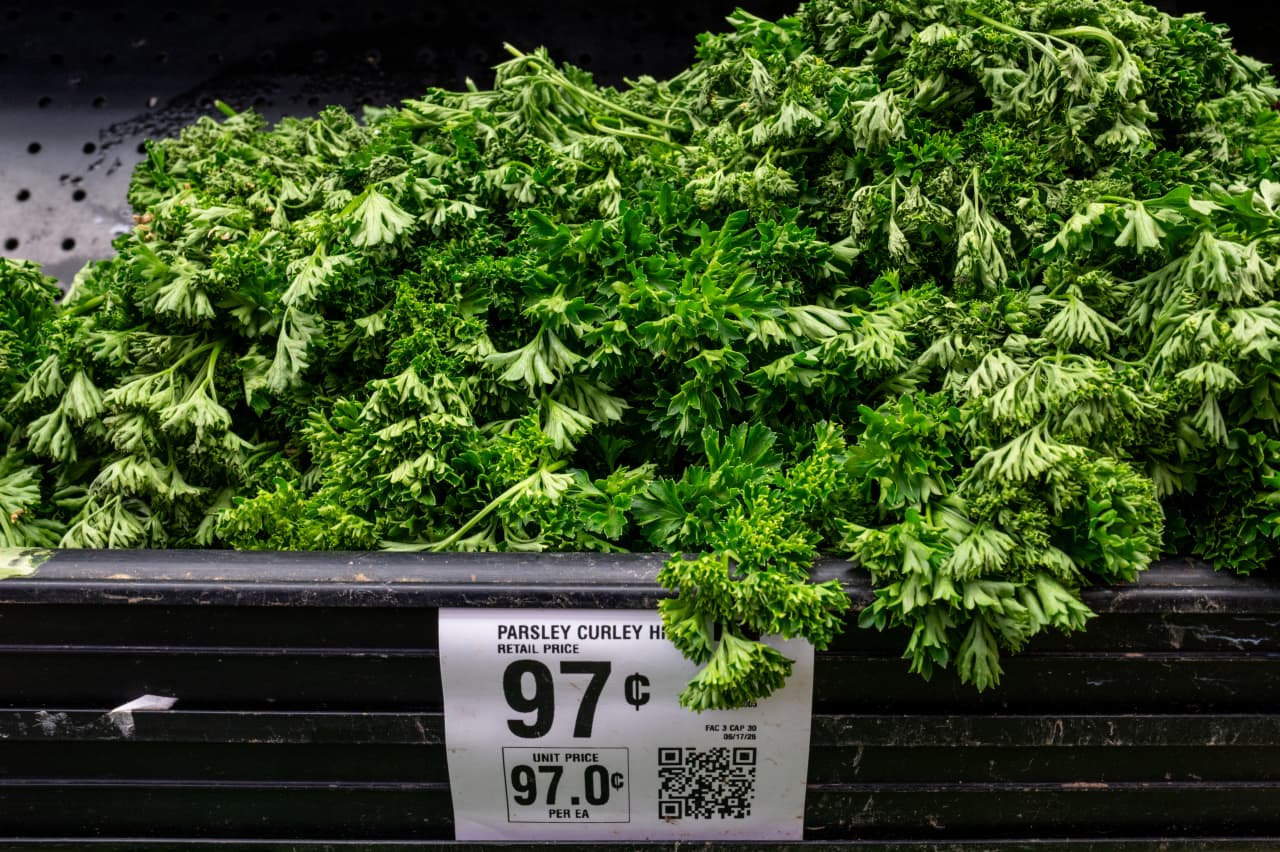 Source-feed image associated with The cyclospora outbreak is the biggest ever. Why this ‘unusual’ outbreak is so hard to manage.