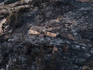 Source-feed image associated with Hundreds of firefighters battle wildfire in southern Spain that killed at least 12