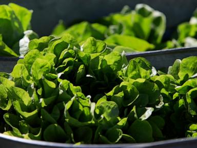 Source-feed image associated with Between prices and a diarrhea-causing parasite, lettuce is causing hard times