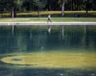 Source-feed image associated with Reflecting pool algae: the science Trump needs to know – podcast