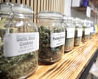 Source-feed image associated with Cannabis commercialisation not decriminalisation drives up usage, study finds
