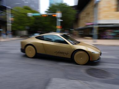 Source-feed image associated with Feds open probe into Musk's steering-wheel-free taxis a day after he began offering rides in them