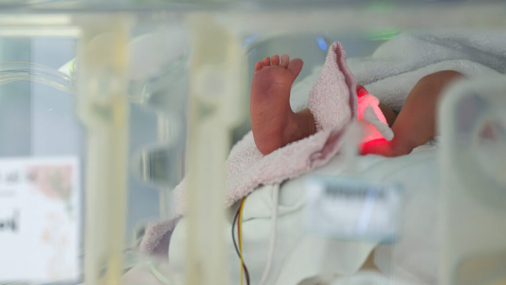 Source-feed image associated with STAT+: ARPA-H launches $160 million effort to develop custom gene editing drugs