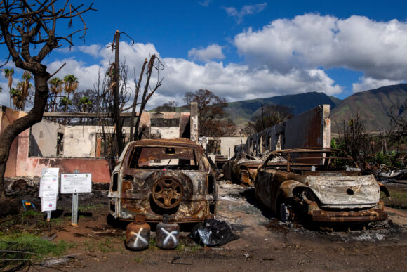 Image from linked report: Study: Residents Near Maui Wildfires Show Elevated Metals Linked to Lung Health Impacts
