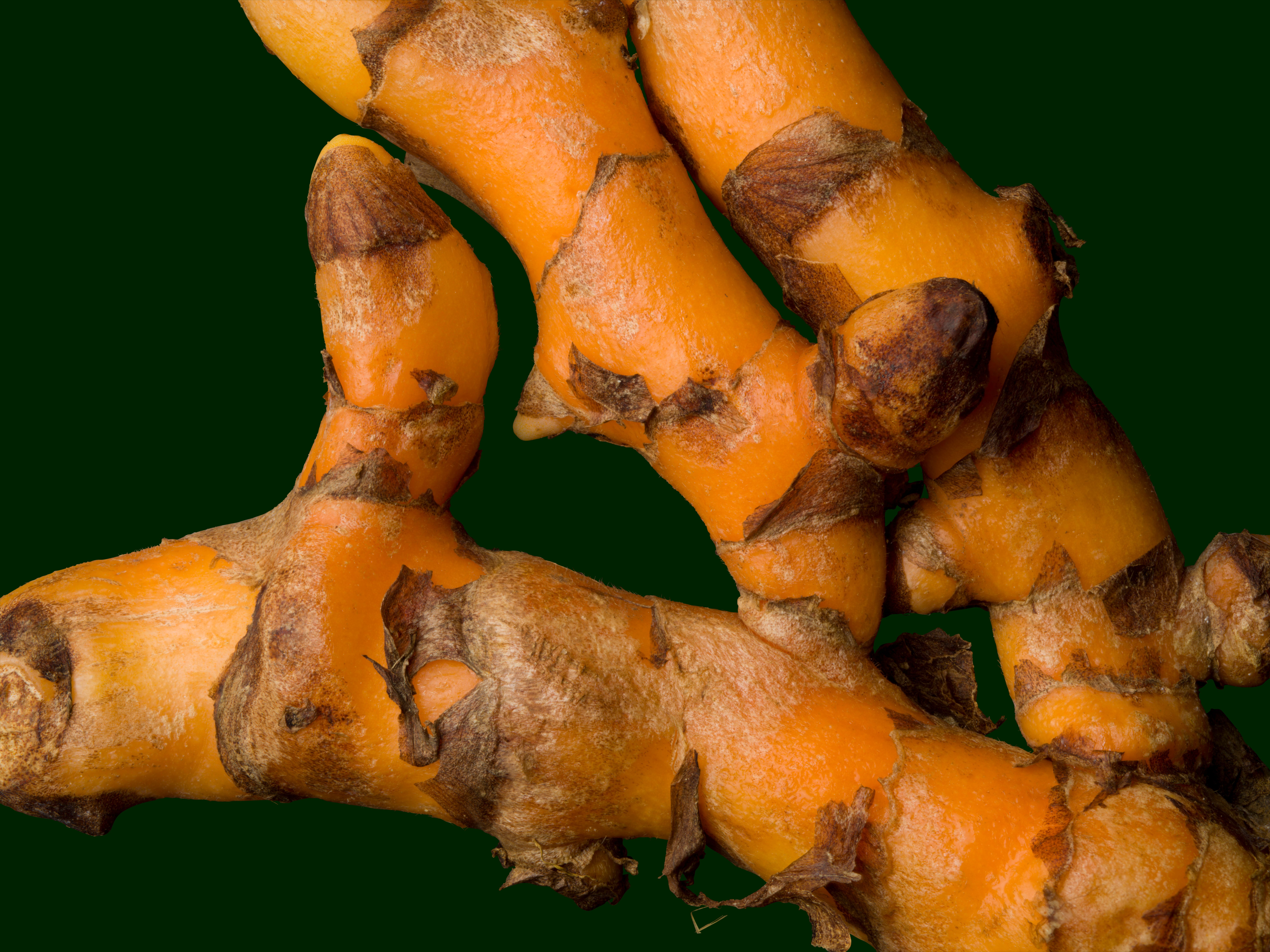 Source-feed image associated with Turmeric’s Unexpected Benefits