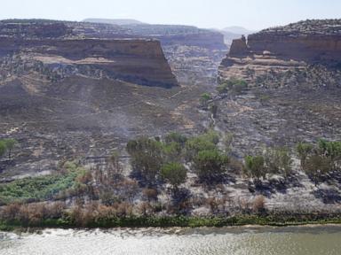 Source-feed image associated with Wildfire southwest of Denver forces thousands to evacuate, destroys 160 structures