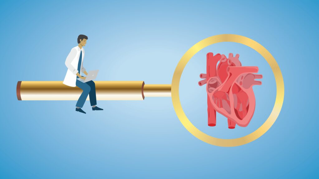 Image from linked report: Opinion: I discovered a new structure in the heart — just by looking closely