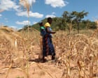 Source-feed image associated with El Niño could push 50m people into acute hunger before end of next year