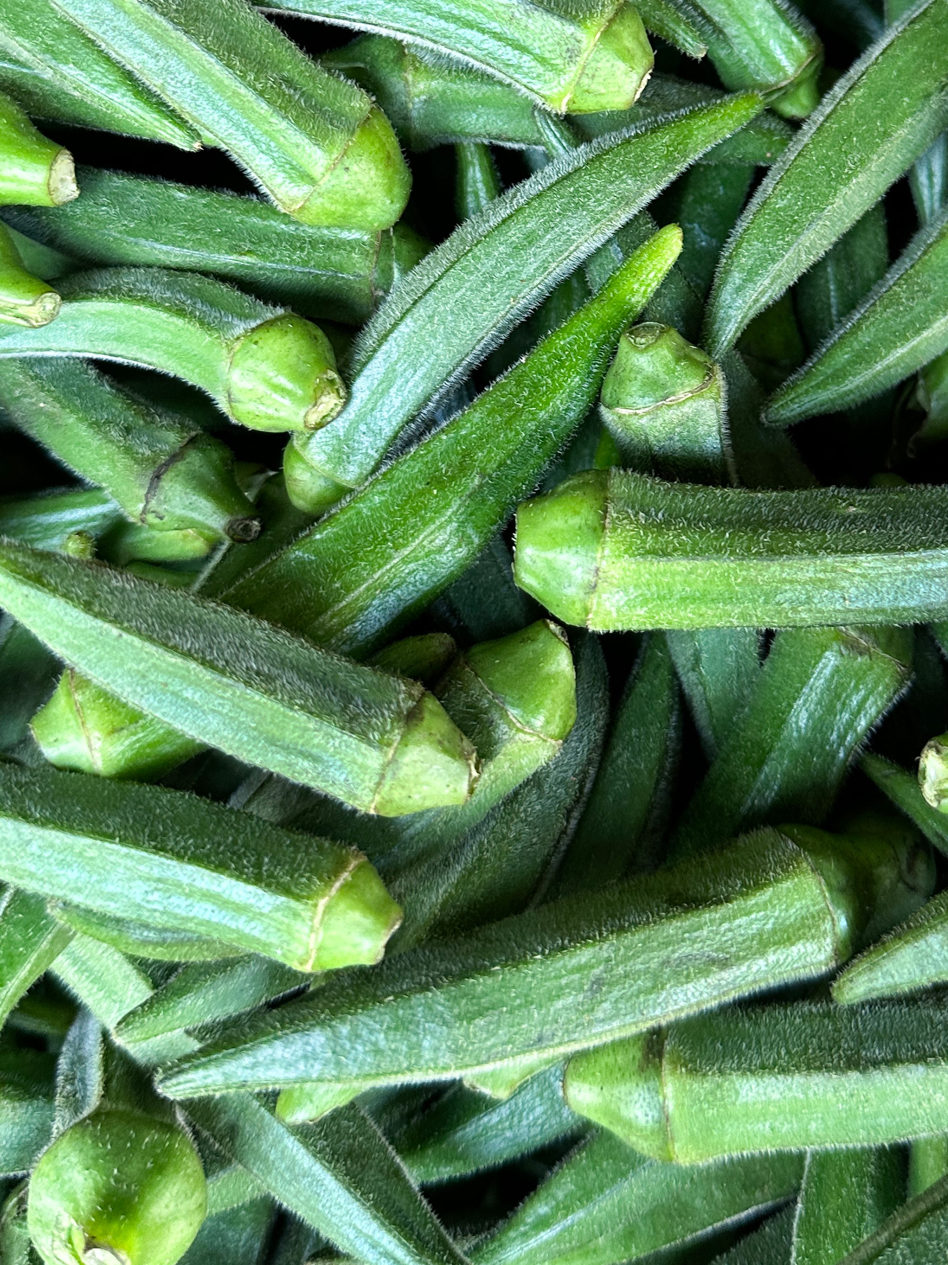 Source-feed image associated with Is Okra Water the Secret to Better Hydration?