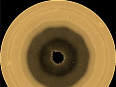 Source-feed image associated with Scientists find 10-sided wave pattern swirling in the clouds over Saturn's south pole