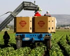 Source-feed image associated with Cyclospora: iceberg lettuce recalled in 27 states and more products may follow