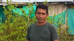 Source-feed image associated with This farmer wanted to quit the cocaine industry - he couldn't