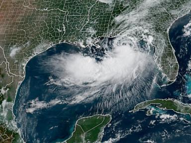 Source-feed image associated with Tropical Storm Bertha strengthening off the Florida coast