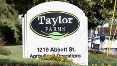 Source-feed image associated with Taylor Farms recalls jalapeno products after salmonella outbreak