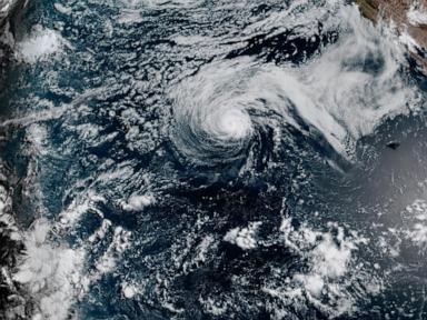 Source-feed image associated with Genevieve becomes a major Pacific hurricane off Mexico, but no direct threat to land is forecast