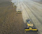 Source-feed image associated with ‘Super’ El Niño could cause global food price shock lasting into 2028, analysts say
