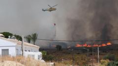 Source-feed image associated with Wildfire in southern Spain leaves at least 12 dead and 23 missing