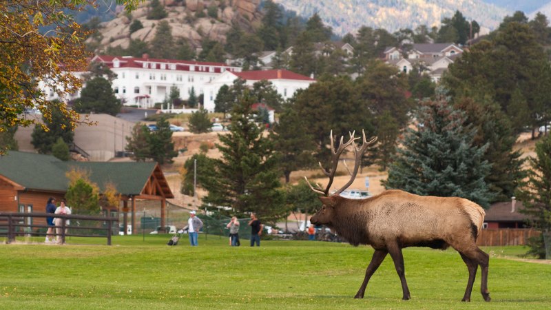 Source-feed image associated with The animal behind most aggressive wildlife encounters may surprise you