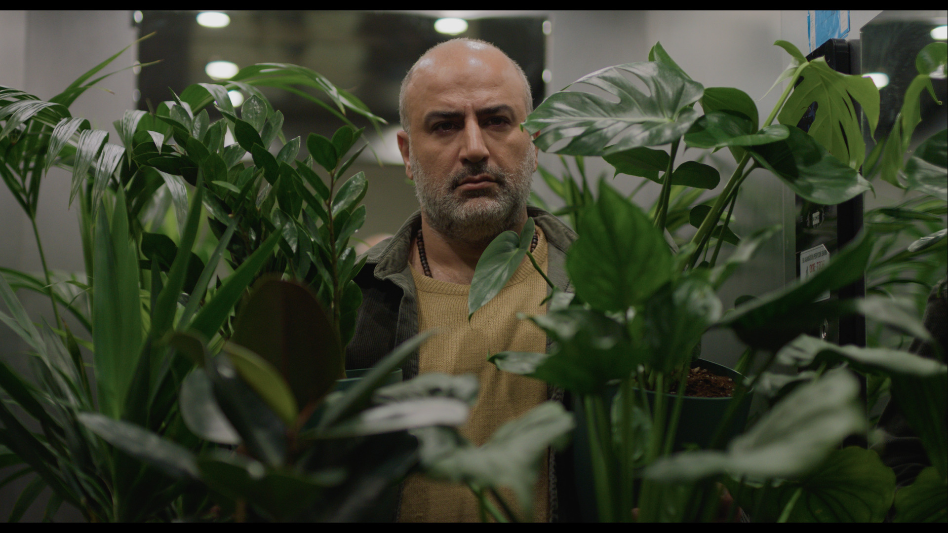Source-feed image associated with Impact of War in Iran Set to Feature in Two Venice Film Festival Dramas