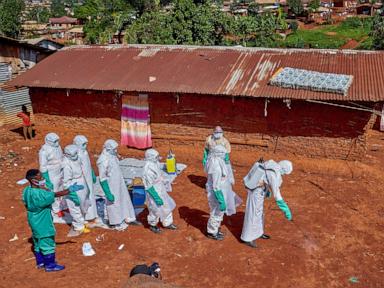 Source-feed image associated with Ebola outbreak in Africa 'likely far worse' than official figures suggest, IRC warns