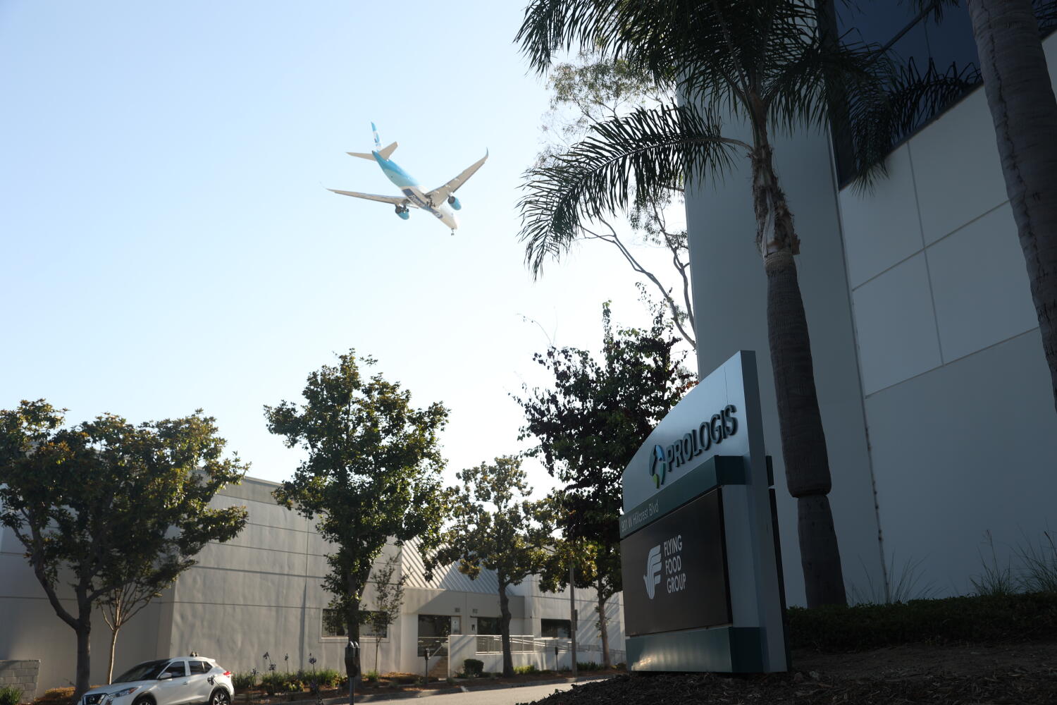 Source-feed image associated with Moldy dishes, live maggots and cockroaches. In-flight meal provider for LAX under scrutiny
