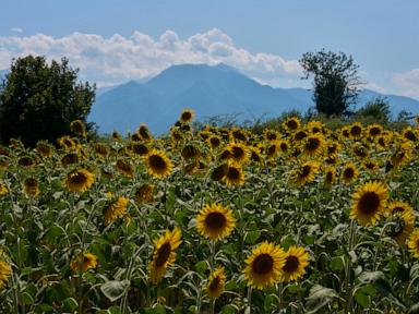 Source-feed image associated with Mount Olympus, home of ancient Greek gods, is a candidate for the World Heritage List
