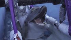 Source-feed image associated with Belugas and dolphins rescued from closed Canadian park arrive in Spain