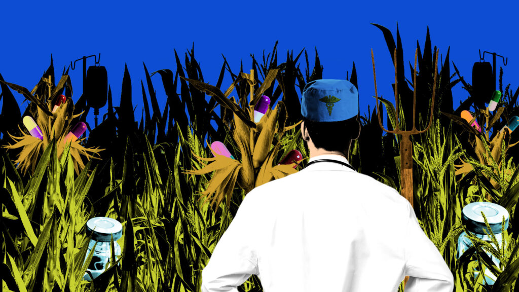 Source-feed image associated with STAT+: As some medical schools embrace RFK Jr.’s nutrition push, they deftly sidestep MAHA priorities