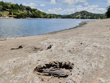 Source-feed image associated with US declares drought disaster for parts of Puerto Rico as dry conditions persist