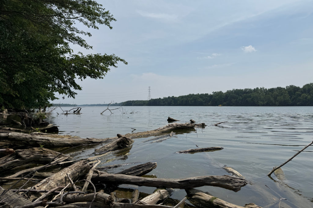 Source-feed image associated with 5 dead after group attempted to save a struggling swimmer in an Ohio river