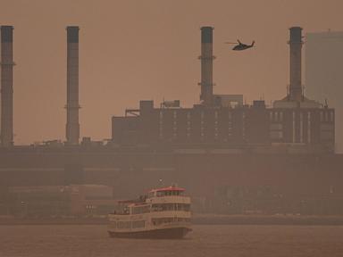 Source-feed image associated with 'Trees vanished in seconds': Canadian wildfire smoke prompts air quality alerts in US