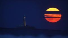 Source-feed image associated with How to see July's Buck Moon light up the night sky
