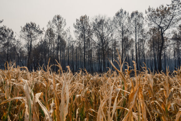 Image from linked report: Europe Seen Spending More Than $500 Billion to Adapt to Climate Change