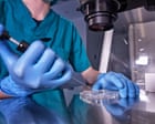 Source-feed image associated with The Trump administration is calling frozen embryos children | Moira Donegan