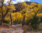 Source-feed image associated with Five family members found dead after flash flood in Utah canyon, police say