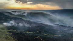 Source-feed image associated with 'Exceptional' wildfire risk for parts of UK as heat health alerts issued