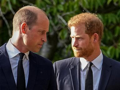 Source-feed image associated with A question looms over Harry's return to the UK. Can he rebuild his relationship with Prince William?